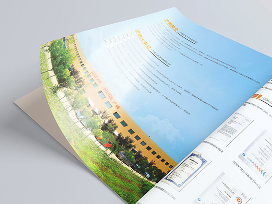 宣傳畫(huà)冊(cè)設(shè)計(jì)